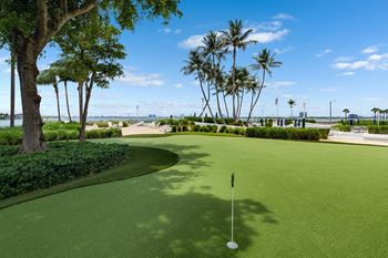 A golf course with a green and a flag on it.